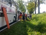 Kolejna akcja z drzewem