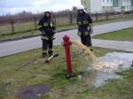 Rzadki z hudym sprawdzaj hydrant