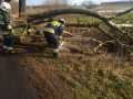 IMG-20200217-WA0006