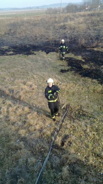 Płonące nieużytki w Skokach