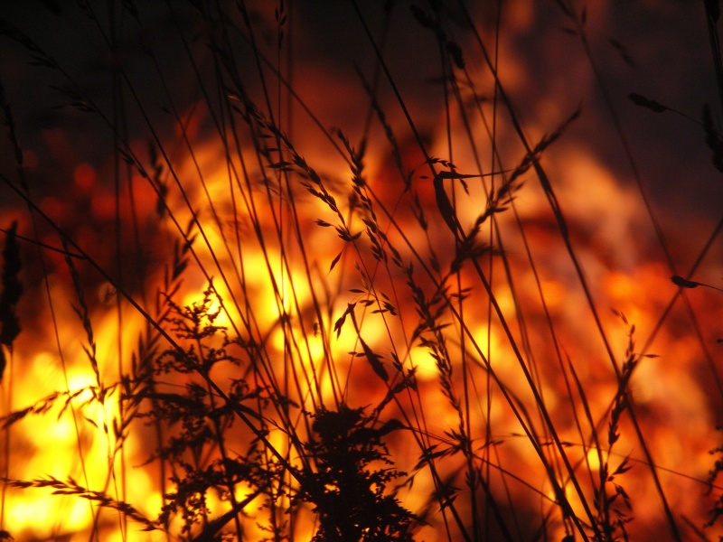 Pożar traw w Lotyniu