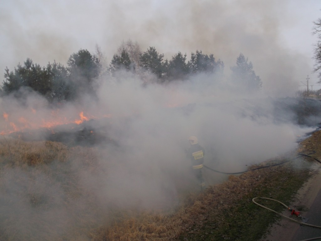 Pożar traw w okolicach Brzozówki