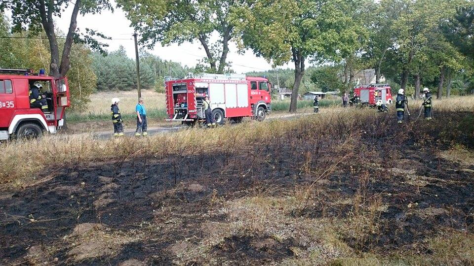 Pożar traw w Okonku