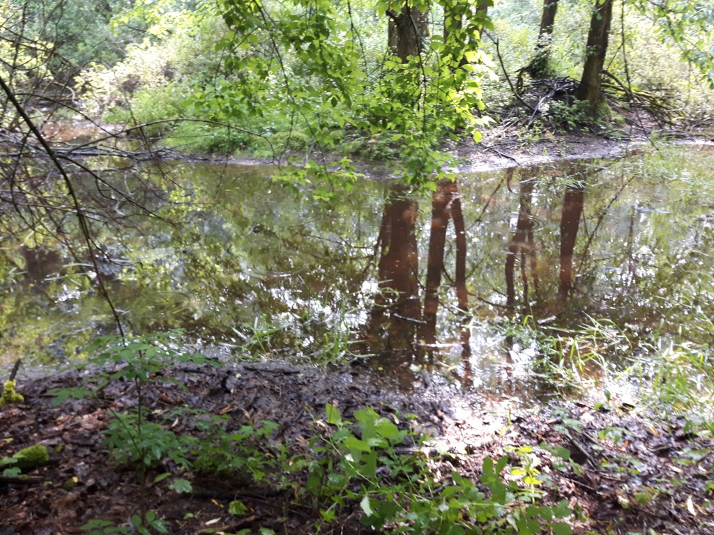 Zagrożenie chemiczne – Lotyń