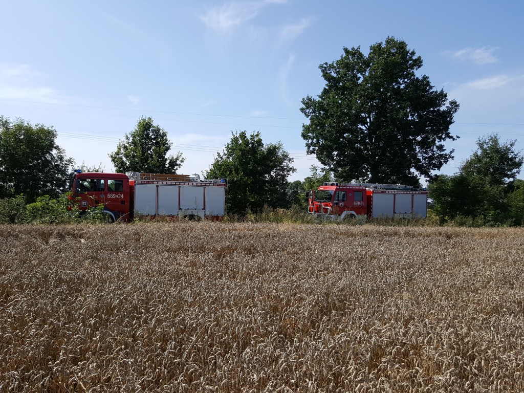 Pożar zboża na pniu