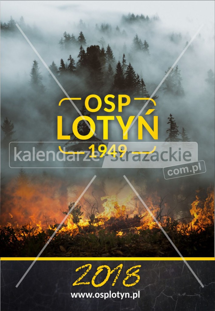 Zakończenie akcji „Kalendarz 2018” = kamera w OSP