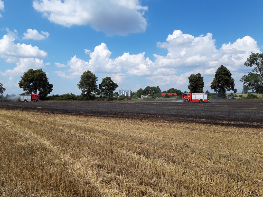 Pożar ścierniska w Łomczewie