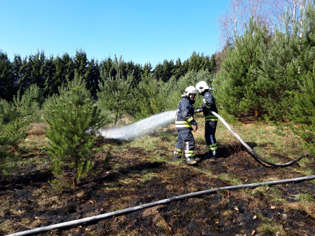 Pożar traw i młodnika w Okonku