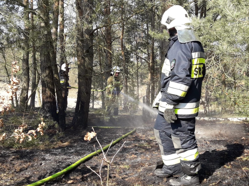 Pożar ściółki leśnej