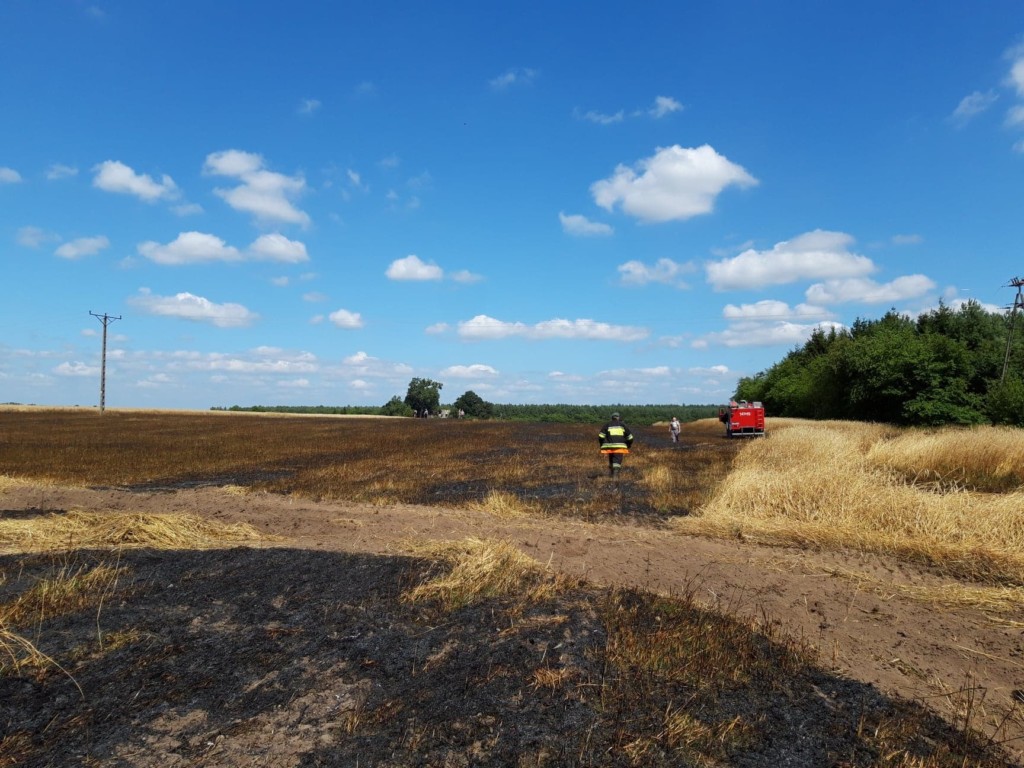 Pożar ścierniska i zboża