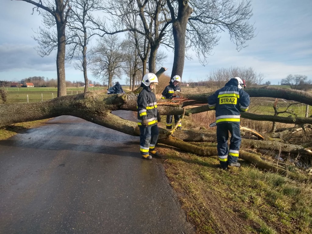 Powalone drzewo na trasie do Drzewic