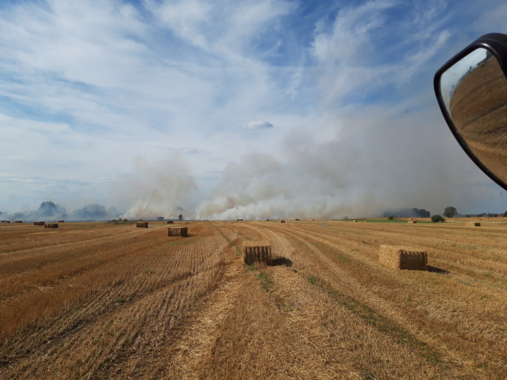 Pożar torowiska w Brokęcinie