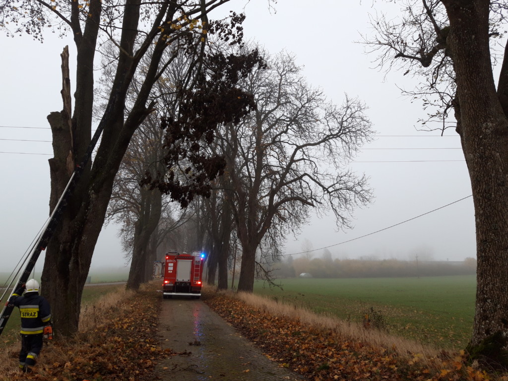 Plama ropopochodna oraz zwisający konar