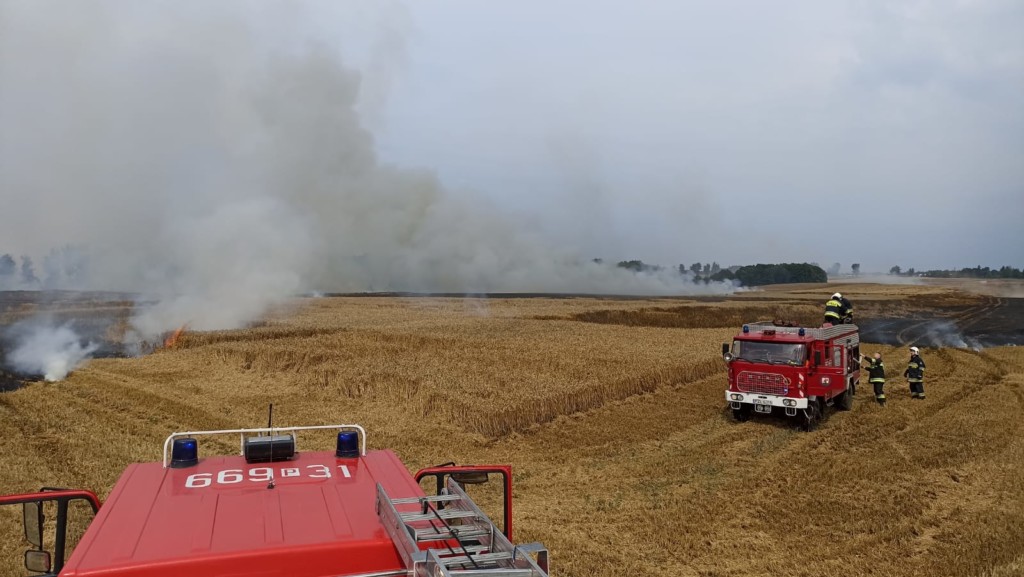 Pożar zboża w Borucinie