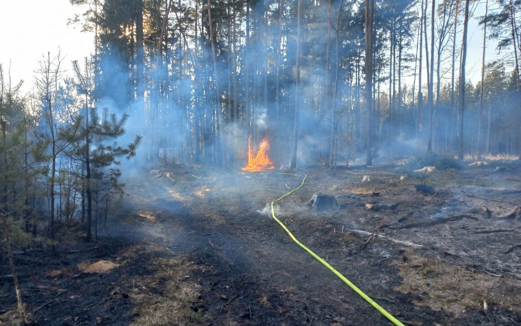 Pożar w leśnictwie Marianowo