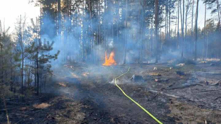 Pożar w leśnictwie Marianowo