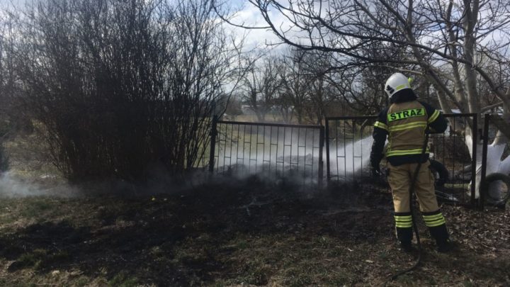 Pożar na ogródkach działkowych