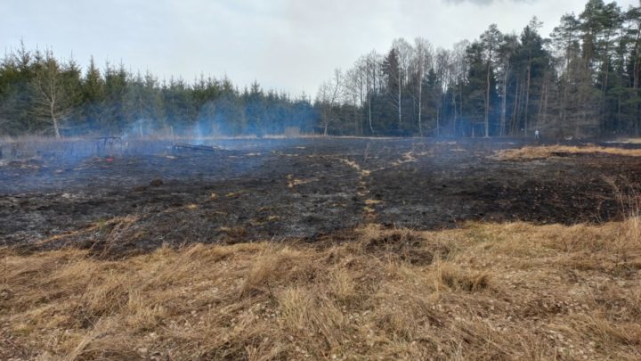 Pożar przy lesie