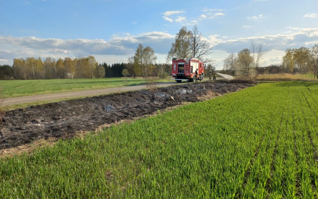 Pożar trawy przy drodze