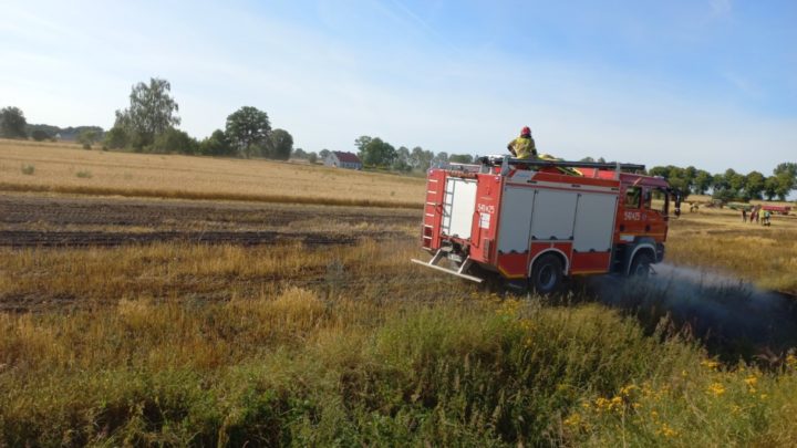 Pożar zboża w Wilczych Laskach