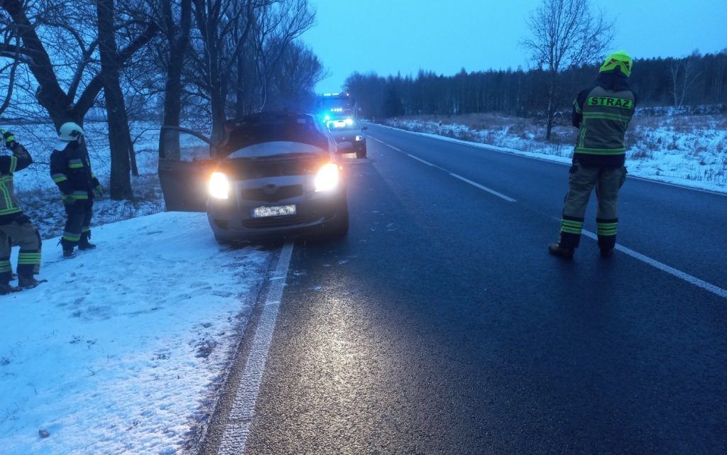 Kolizja osobówki z zwierzyną