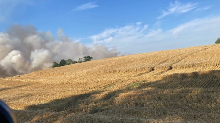 Pożar zboża na pniu w okolicach Łomczewa