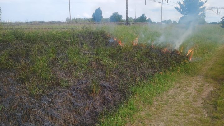Pożar trawy przy nasypie kolejowym
