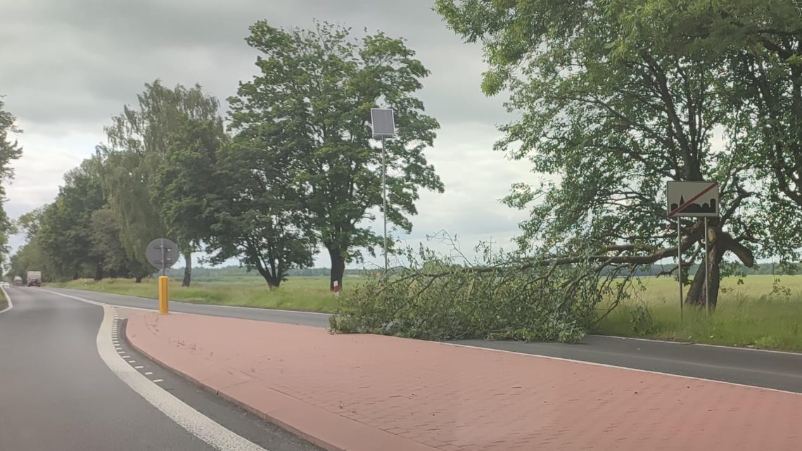 Konar na jezdni