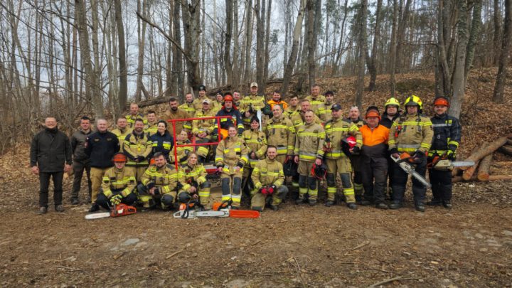Ćwiczenia z użyciem symulatora naprężeń drzew