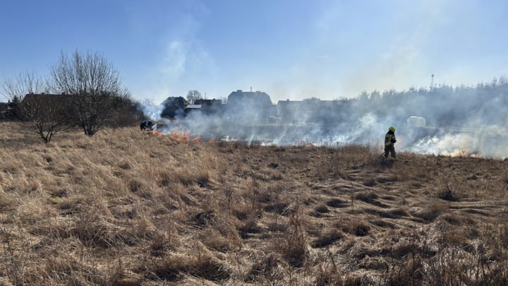 Pożar traw – Lotyń