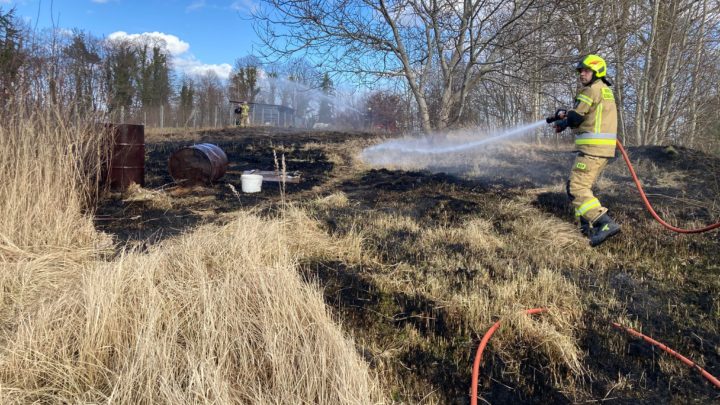 Pożar traw – Łomczewo