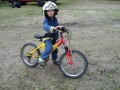lotyn38