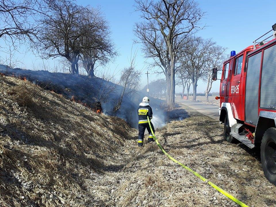 Pożar traw – Brzozówka x6