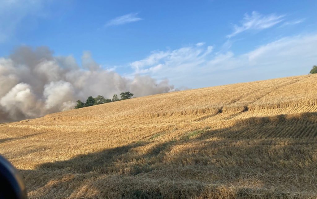 Pożar zboża na pniu w okolicach Łomczewa