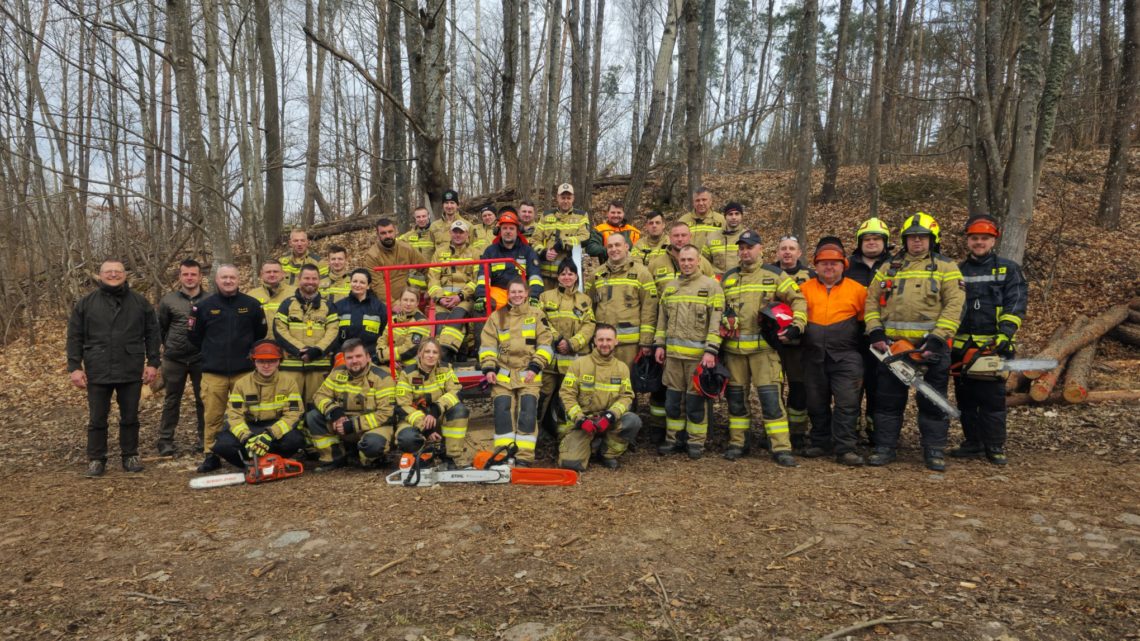 Ćwiczenia z użyciem symulatora naprężeń drzew