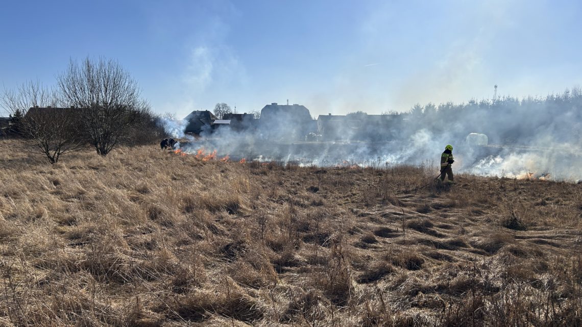 Pożar traw – Lotyń