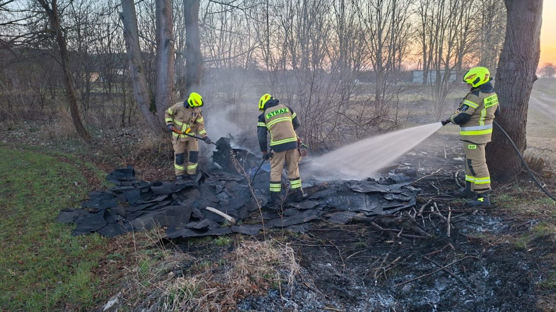 Pożar trawy – Lotyń