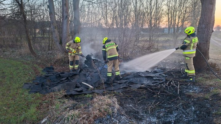 Pożar trawy – Lotyń