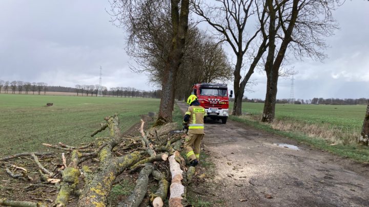 Efekt porywistych wiatrów